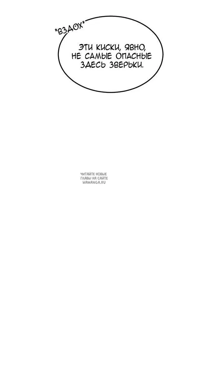Page 36.000