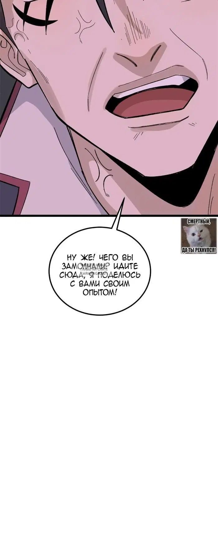 Page 36.000