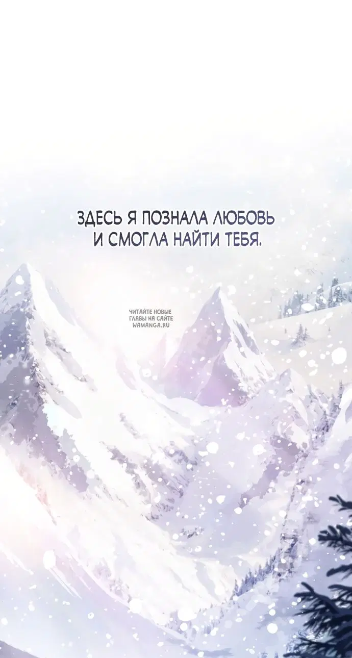Page 50.000