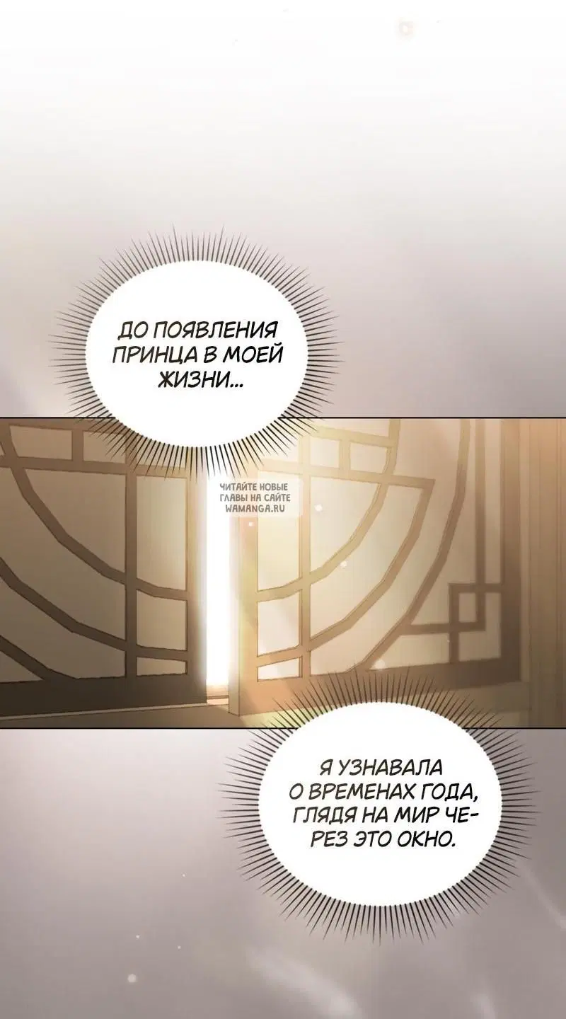 Page 40.000