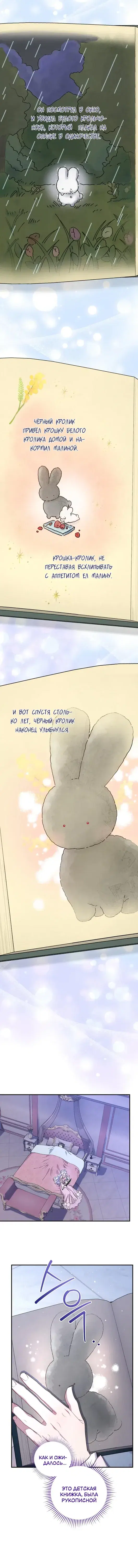 Page 5.001