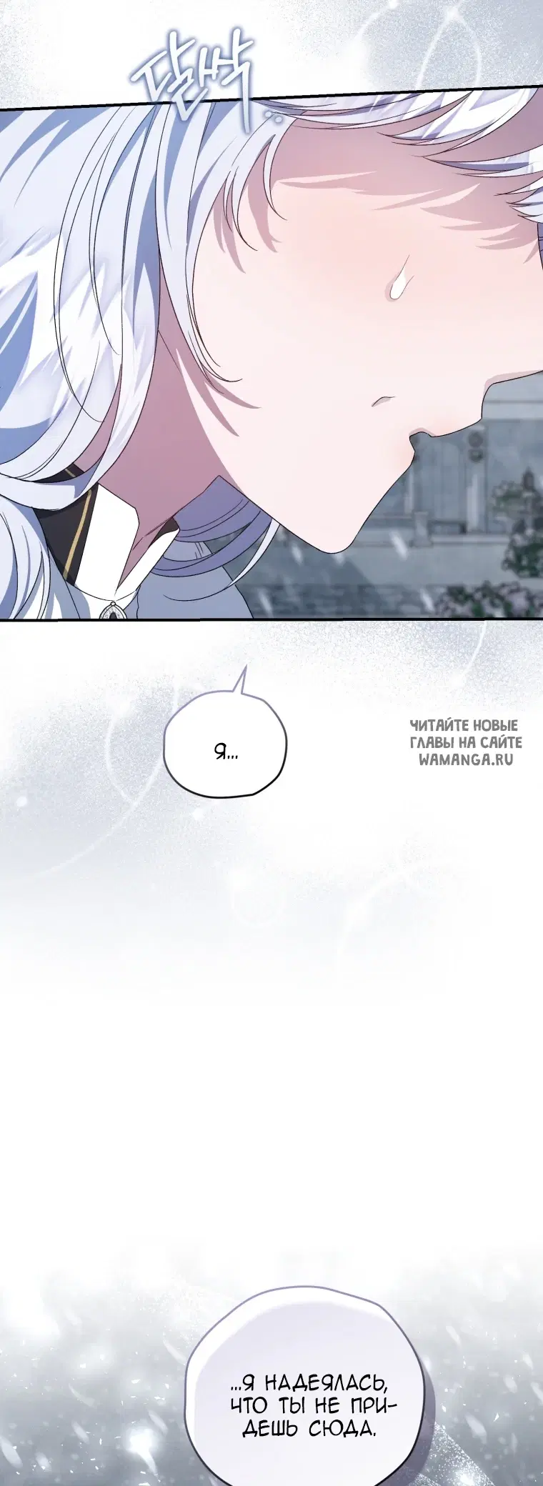 Page 81.000