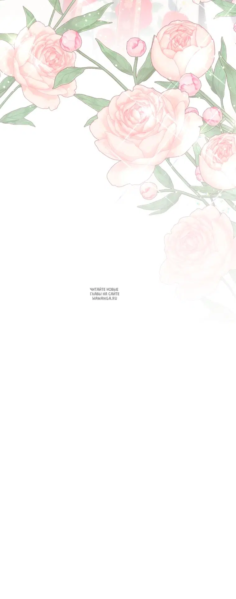 Page 81.000