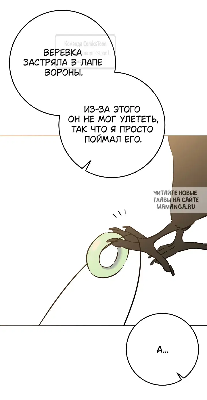 Page 43.000
