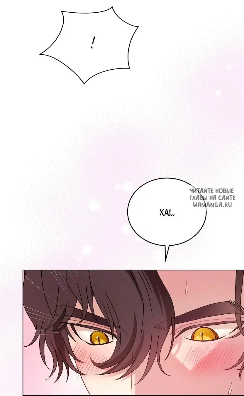 Page 36.000