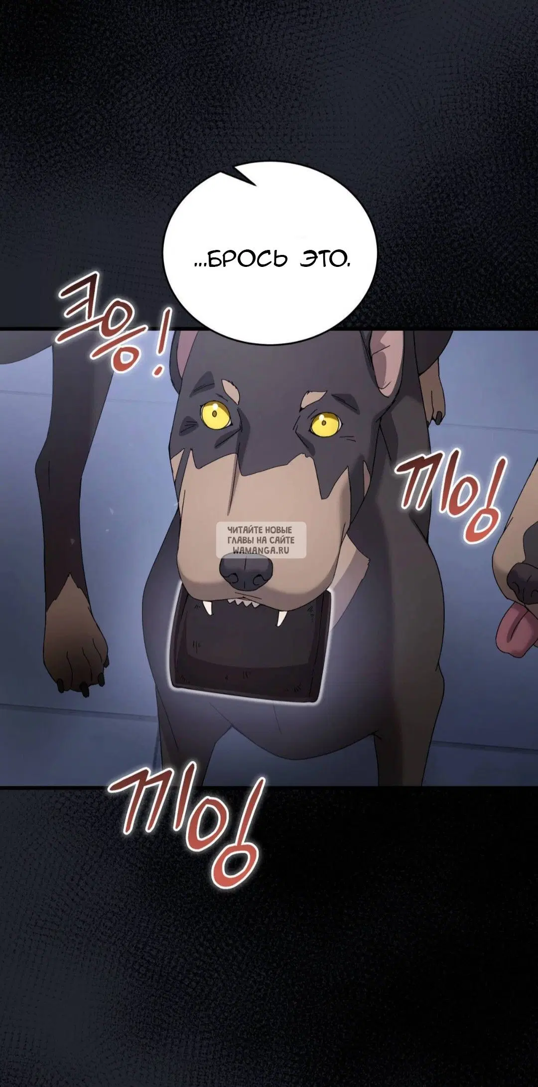 Page 37.000