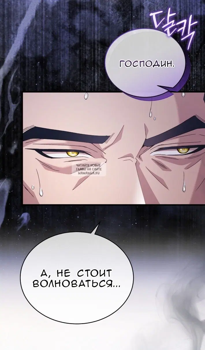 Page 44.000