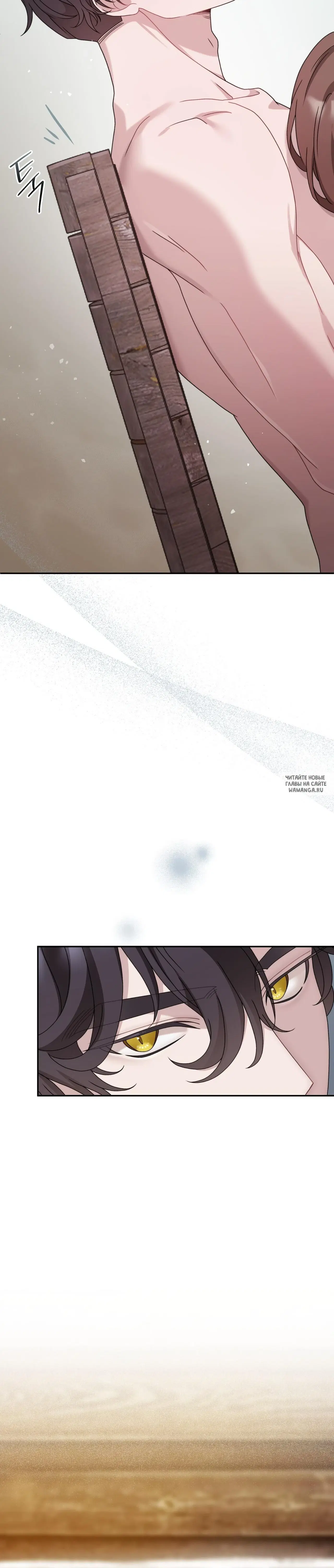 Page 41.000