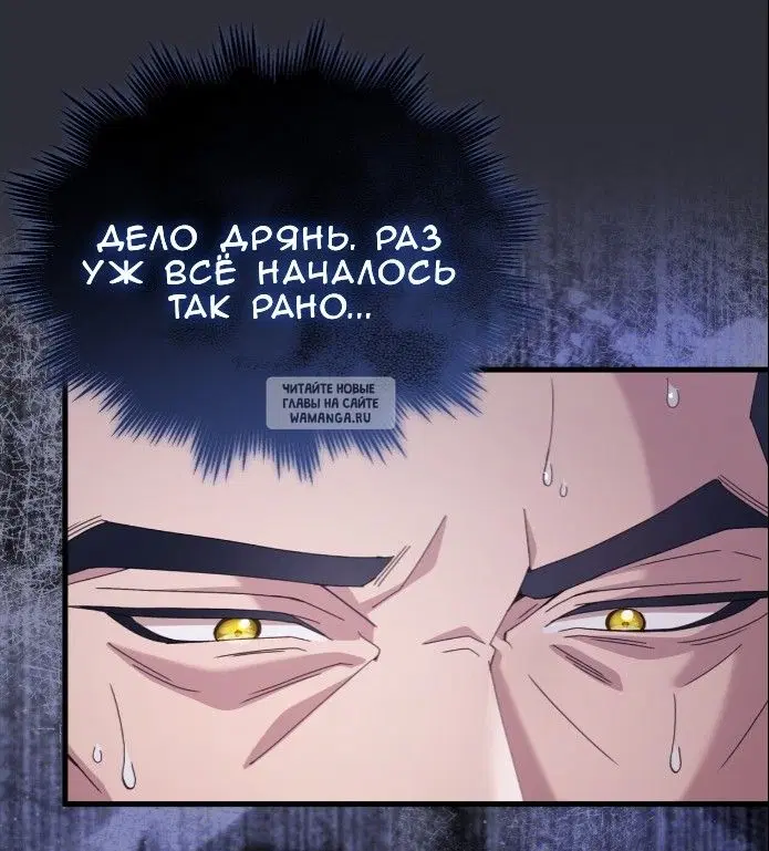 Page 43.000