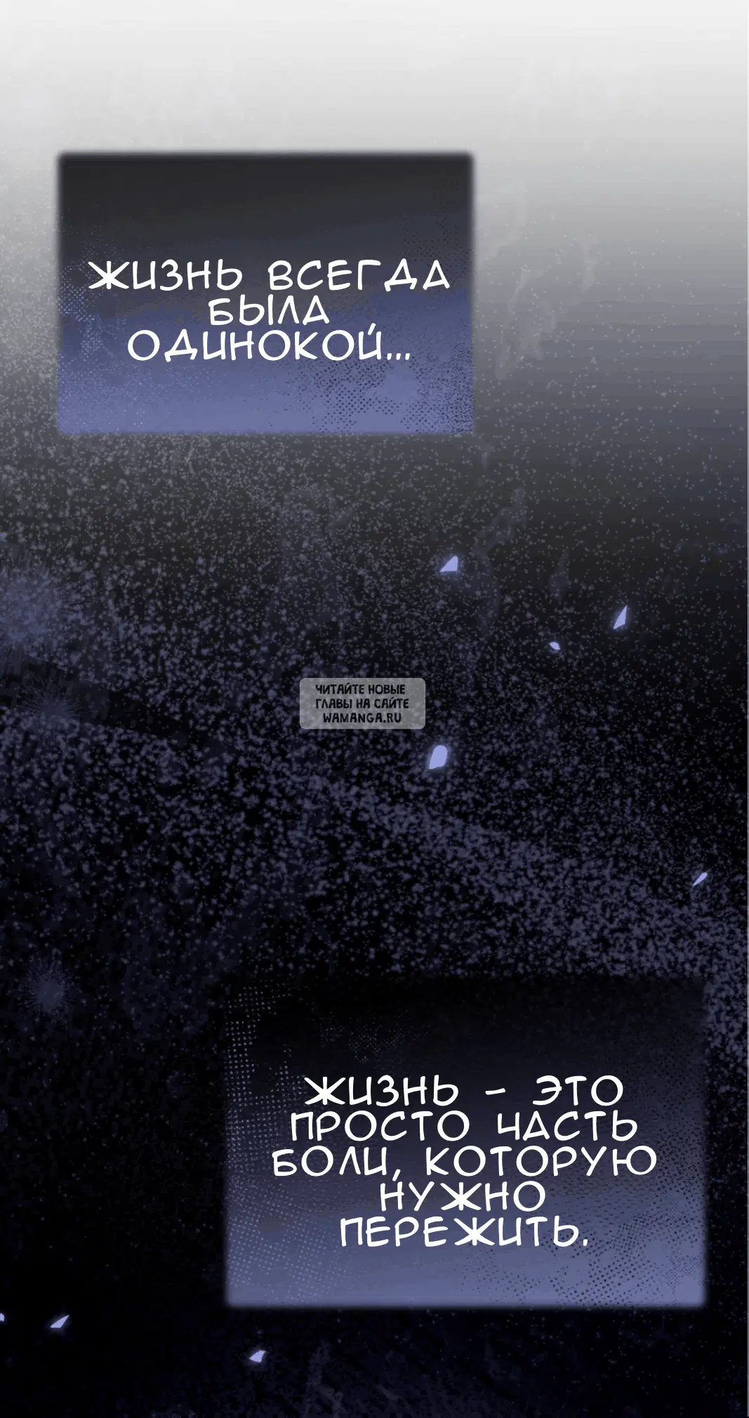 Page 50.000