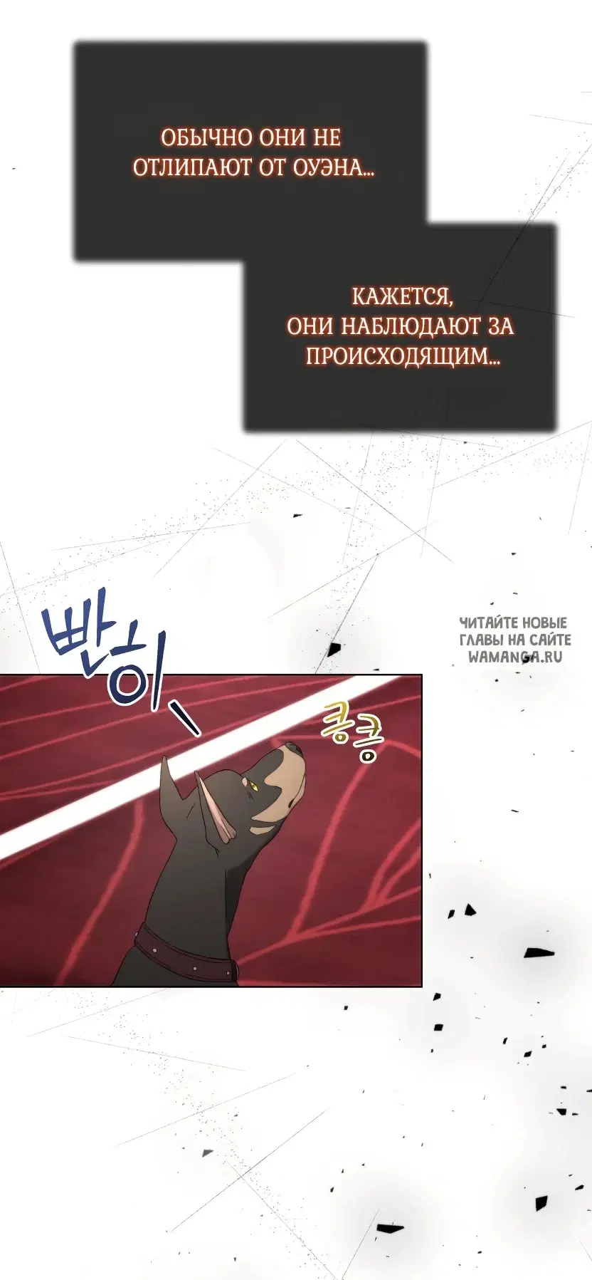 Page 65.000