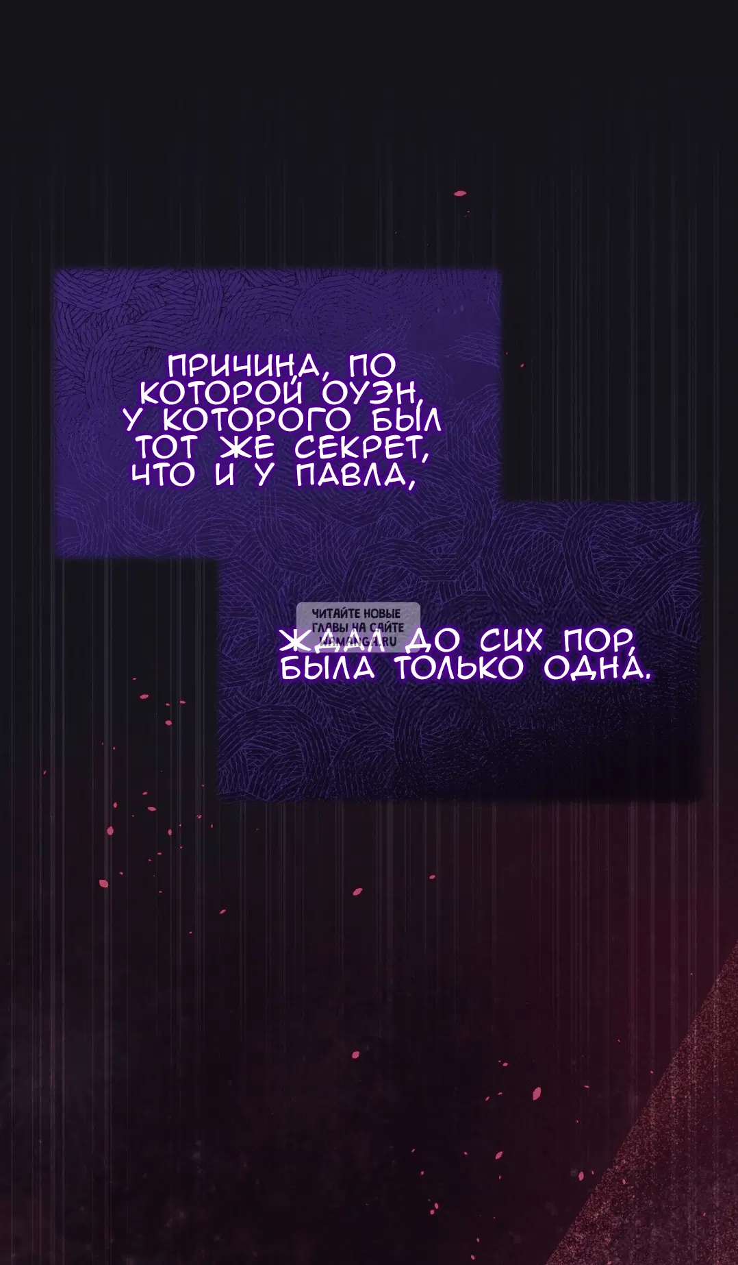Page 80.000