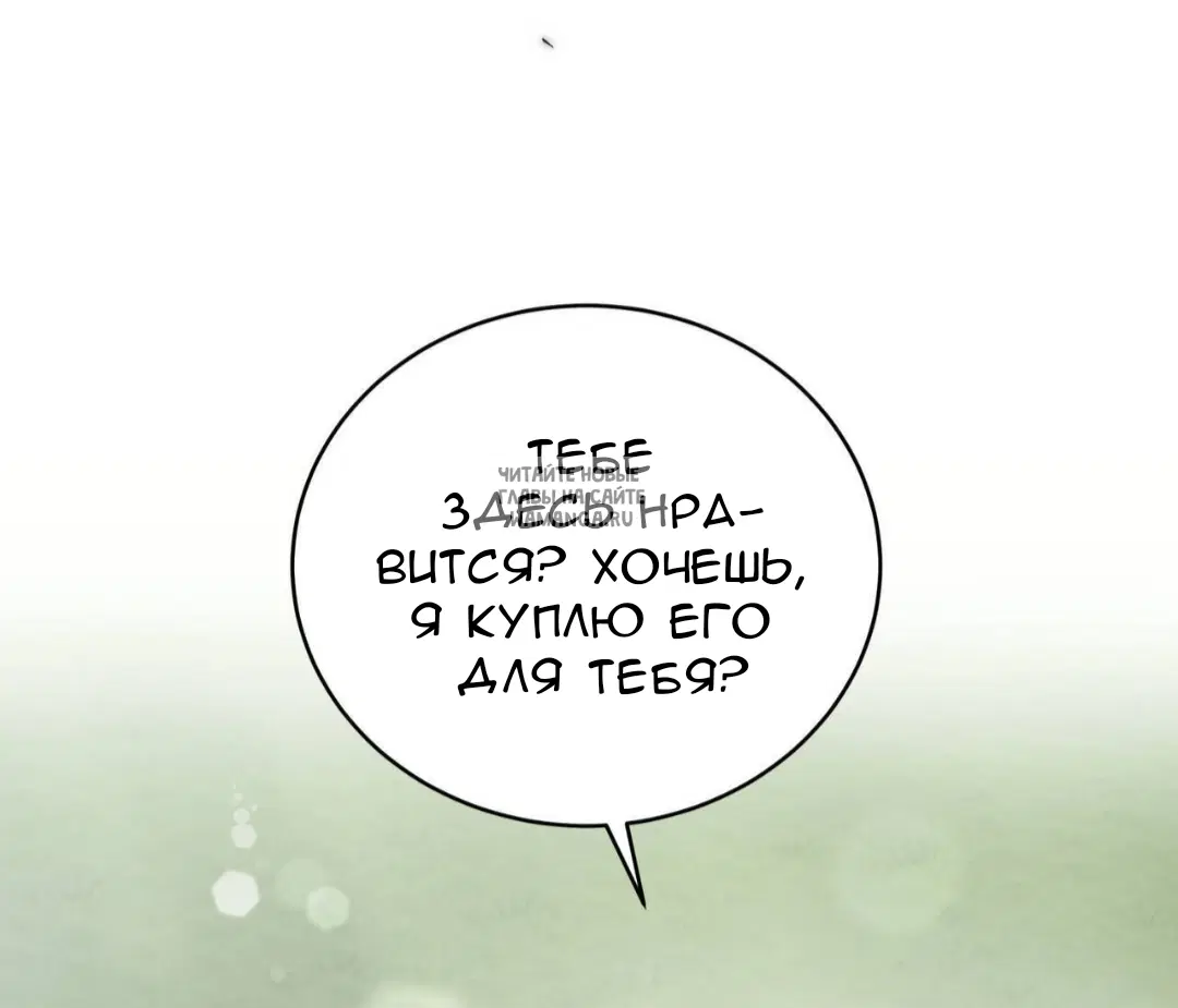 Page 81.000