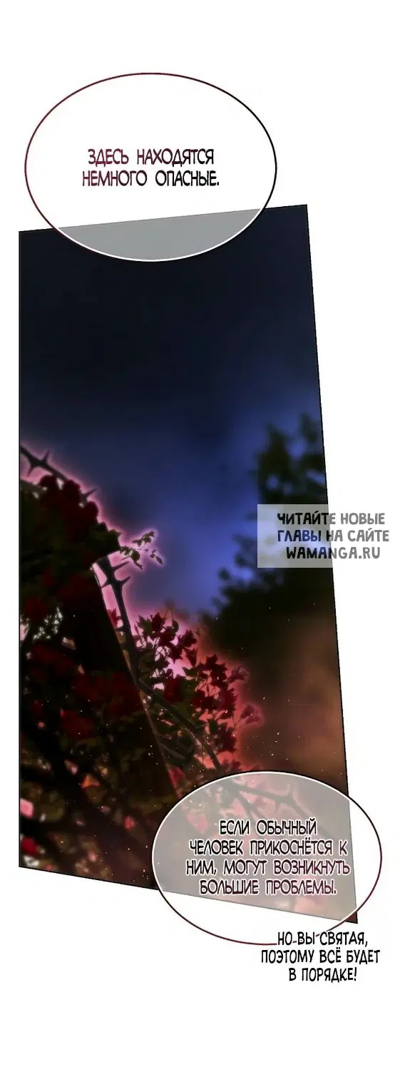 Page 35.000