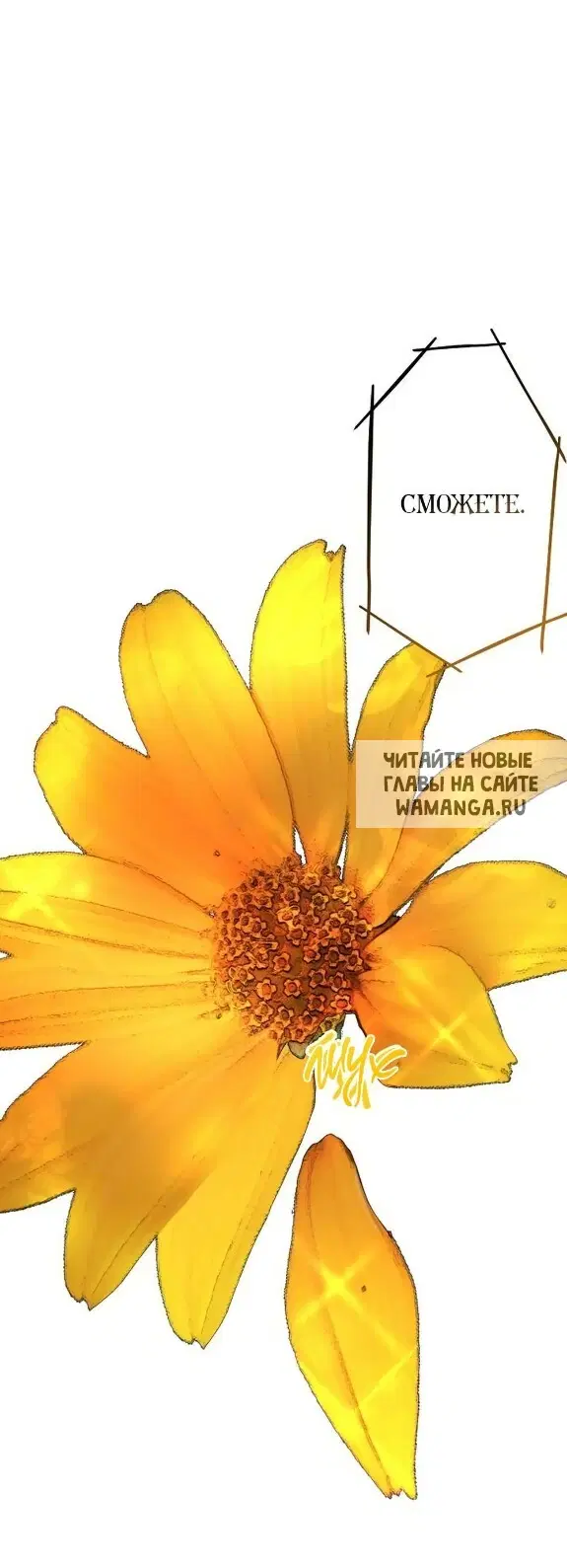 Page 54.000