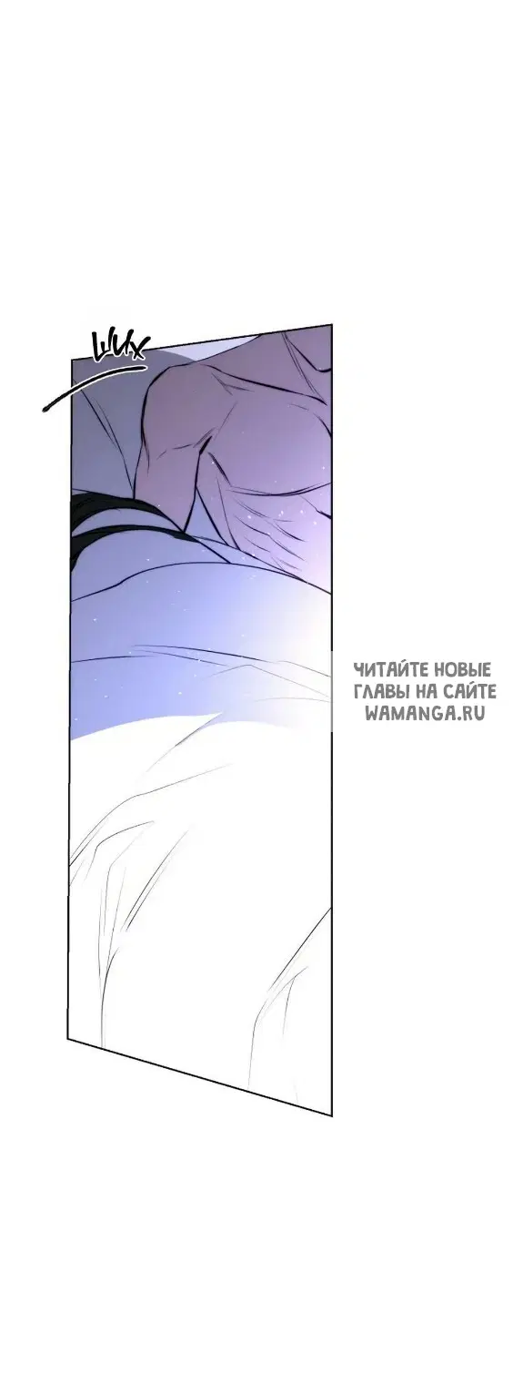Page 50.000