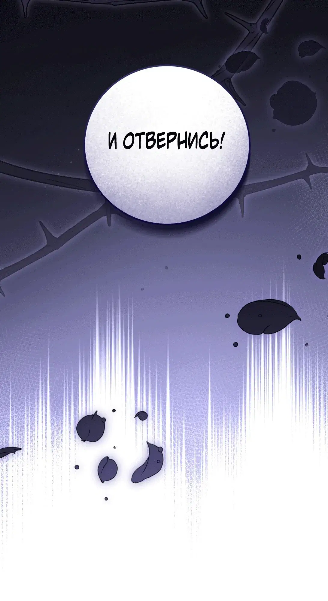 Page 11.001
