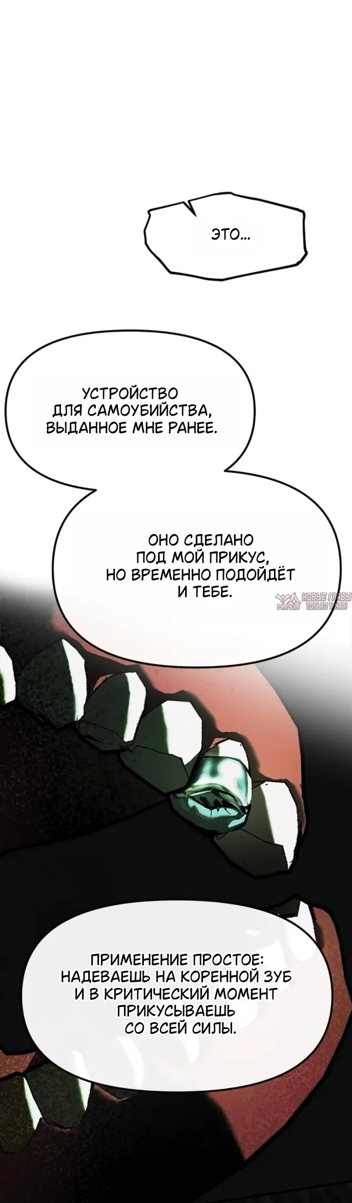 Page 53.000