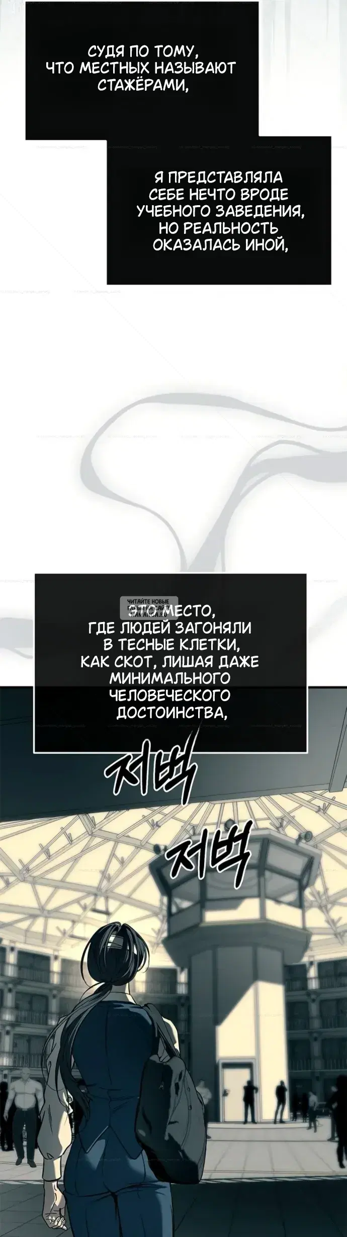 Page 50.000
