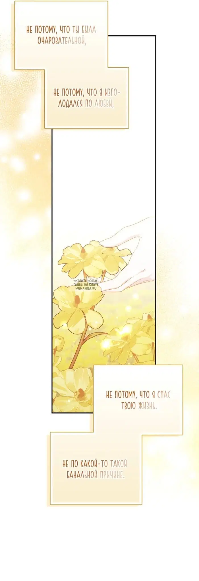 Page 51.000