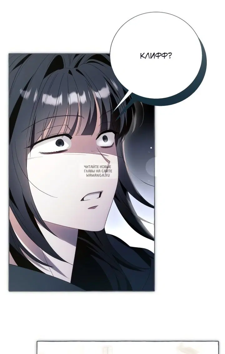 Page 51.000