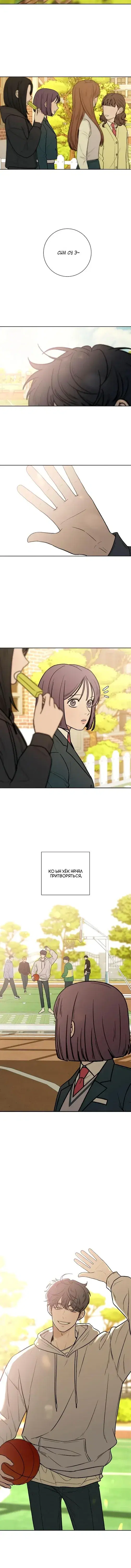 Page 5.001