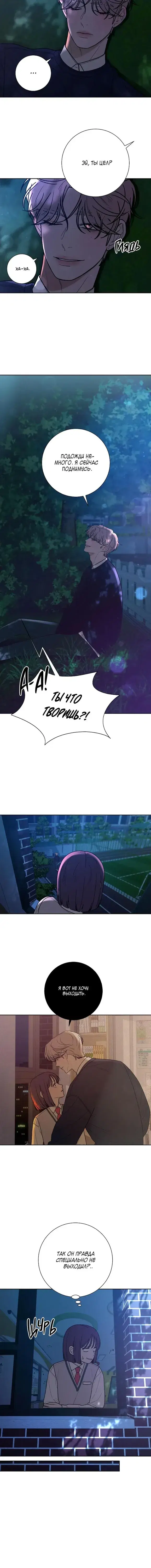 Page 5.001