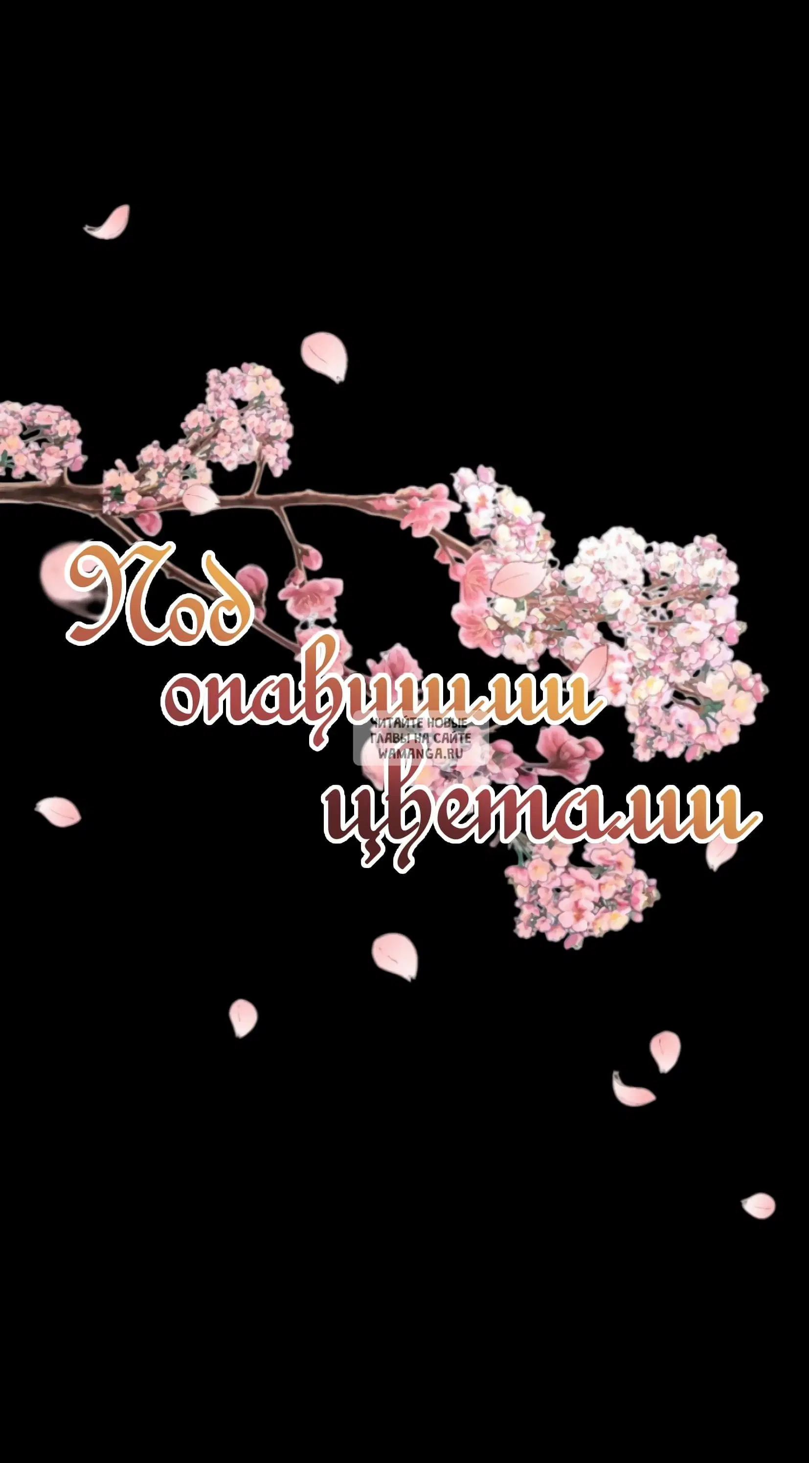 Page 26.000