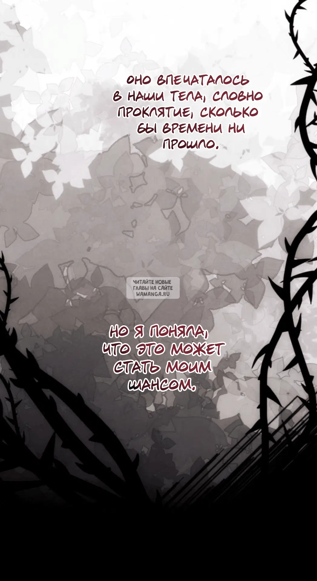 Page 39.000