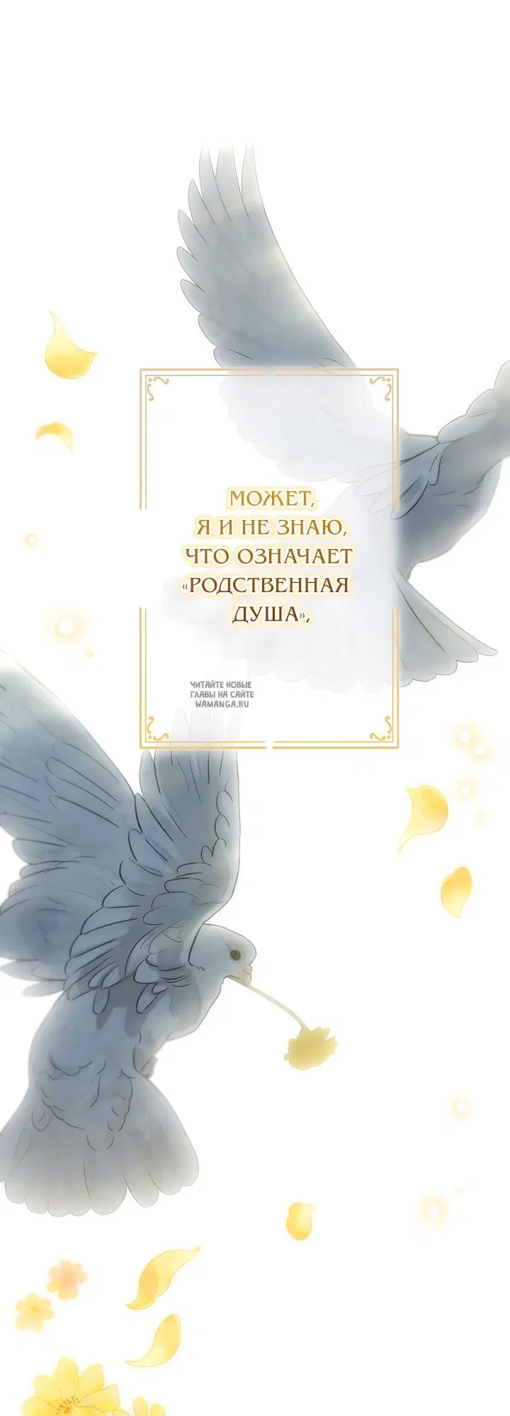 Page 64.000