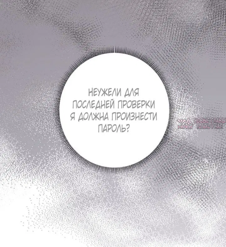 Page 49.000