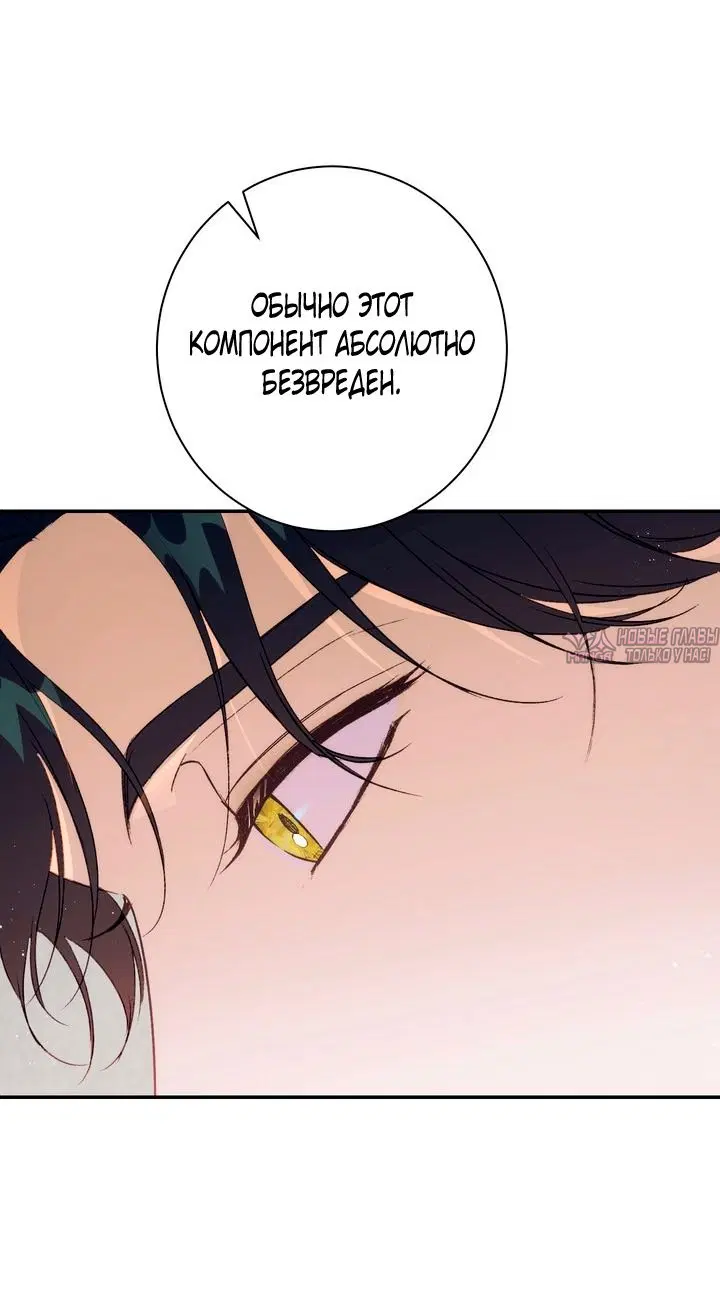 Page 56.000