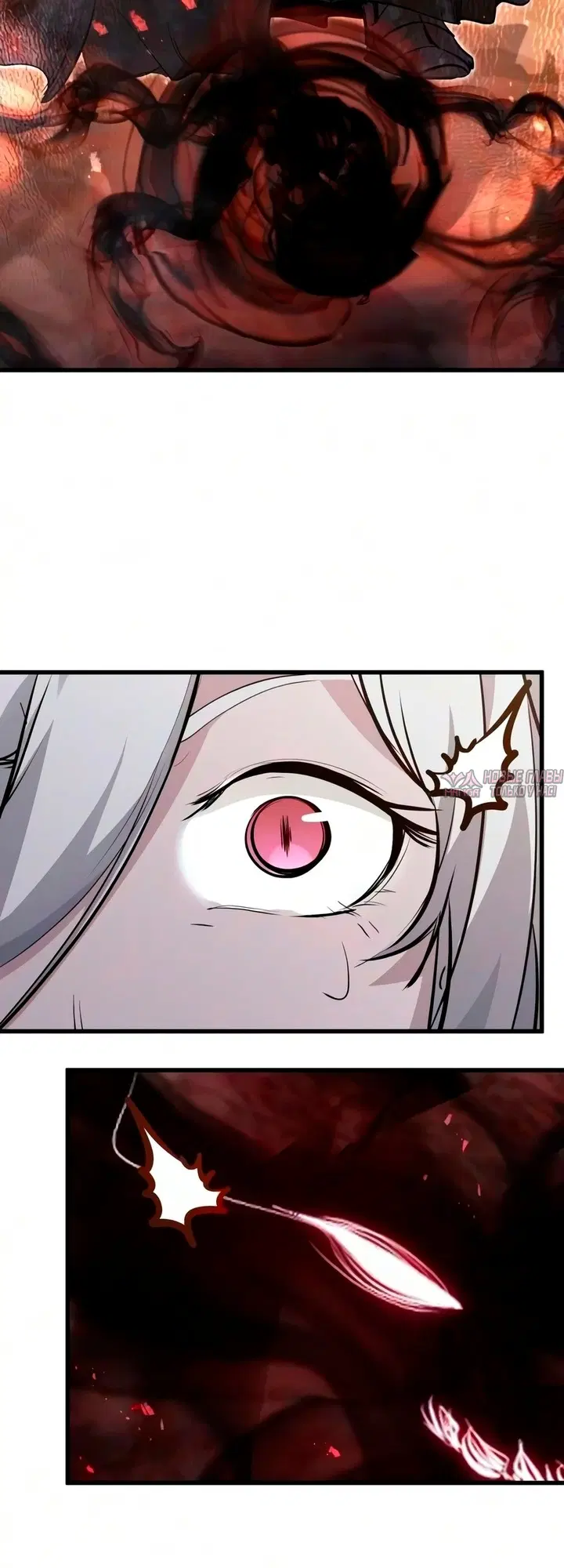Page 50.000