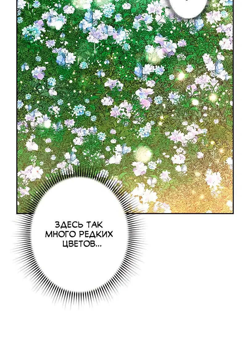 Page 10.001