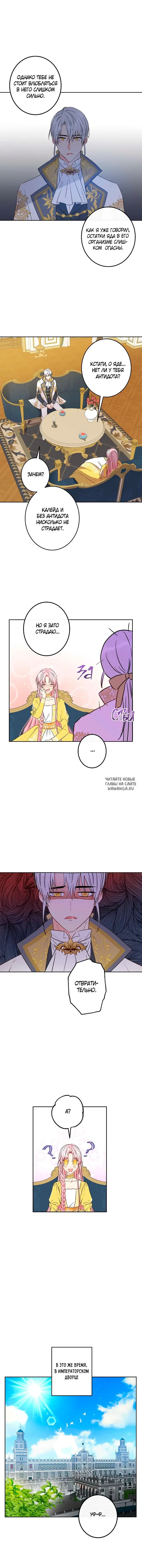 Page 7.000