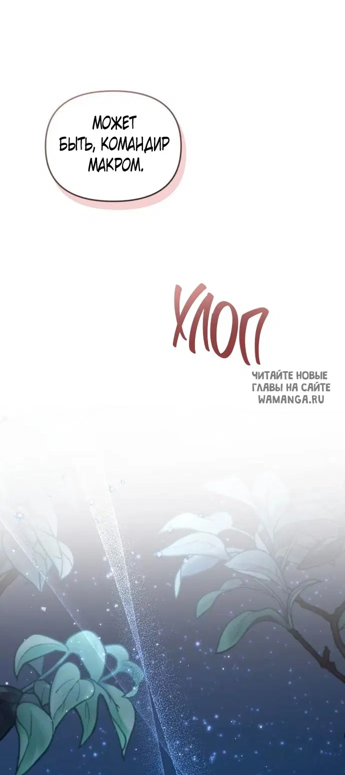 Page 68.000