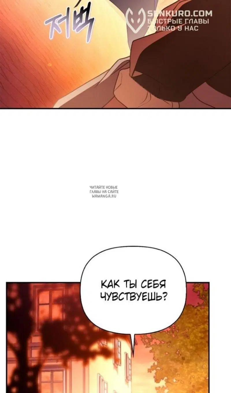 Page 81.000