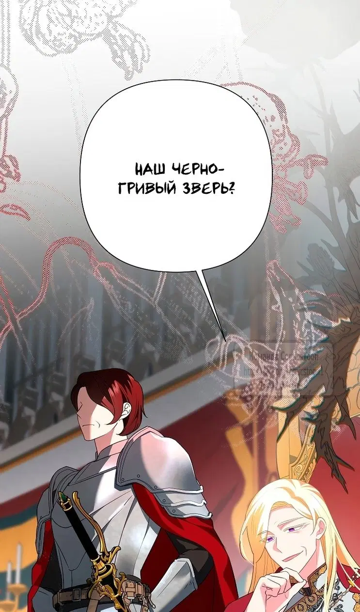 Page 20.000