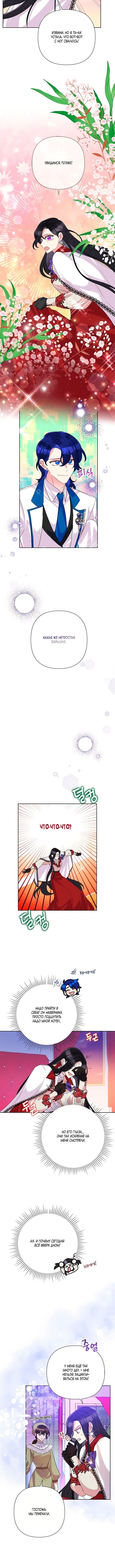 Page 5.001