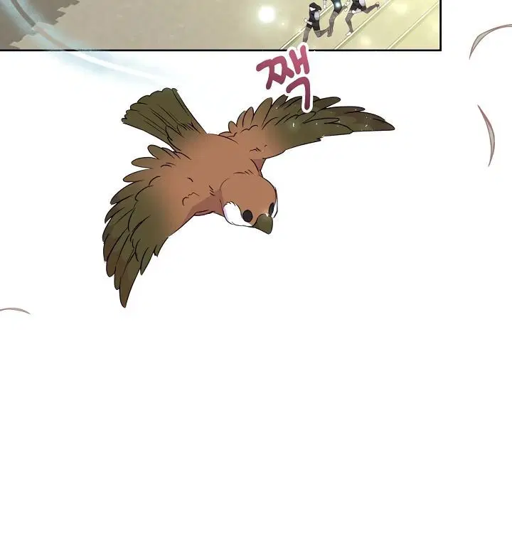 Page 5.002
