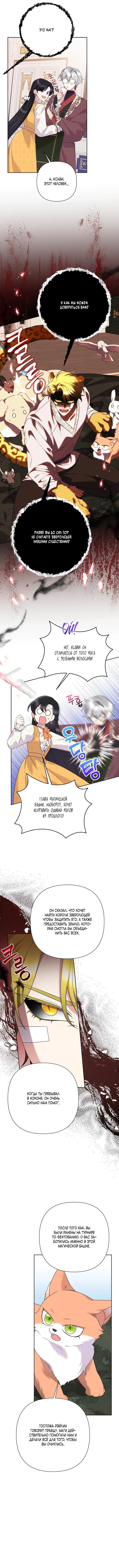 Page 5.001