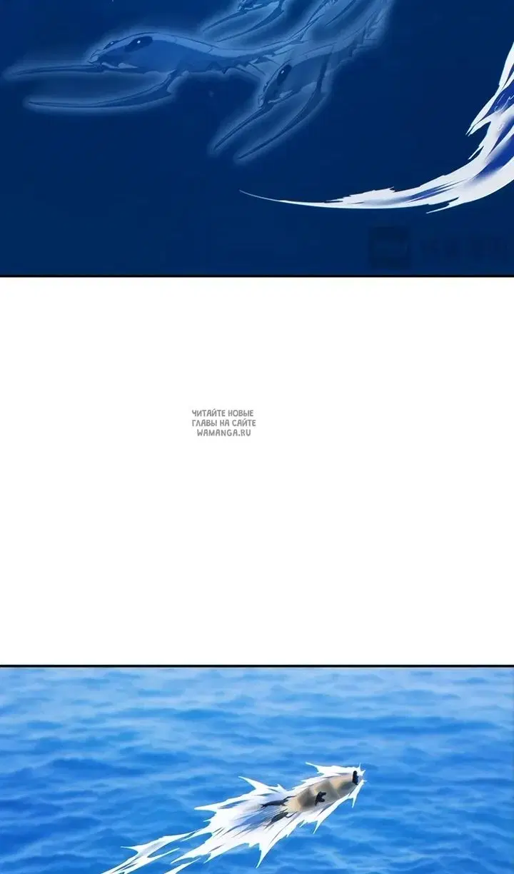 Page 50.000