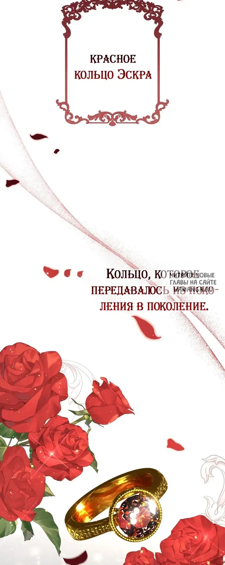 Page 35.000