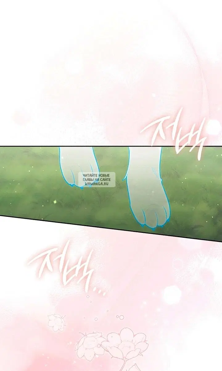 Page 31.000