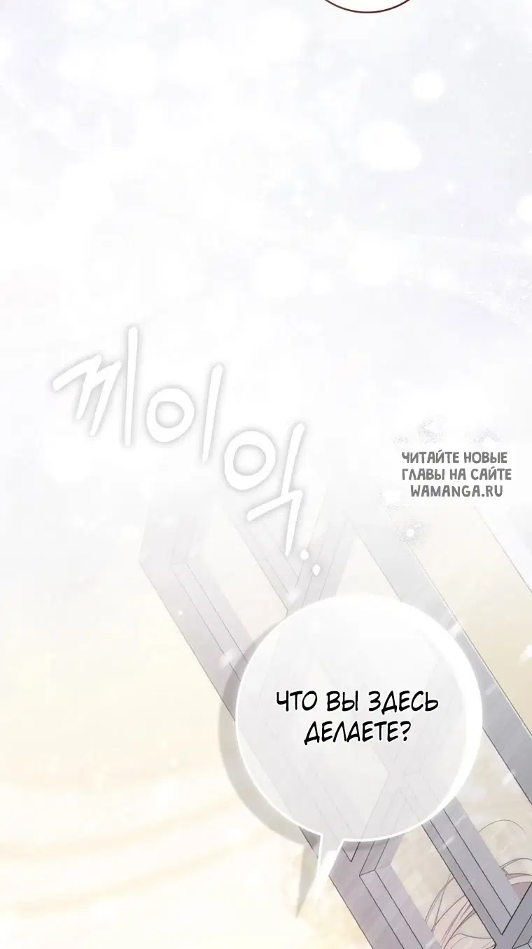 Page 49.000