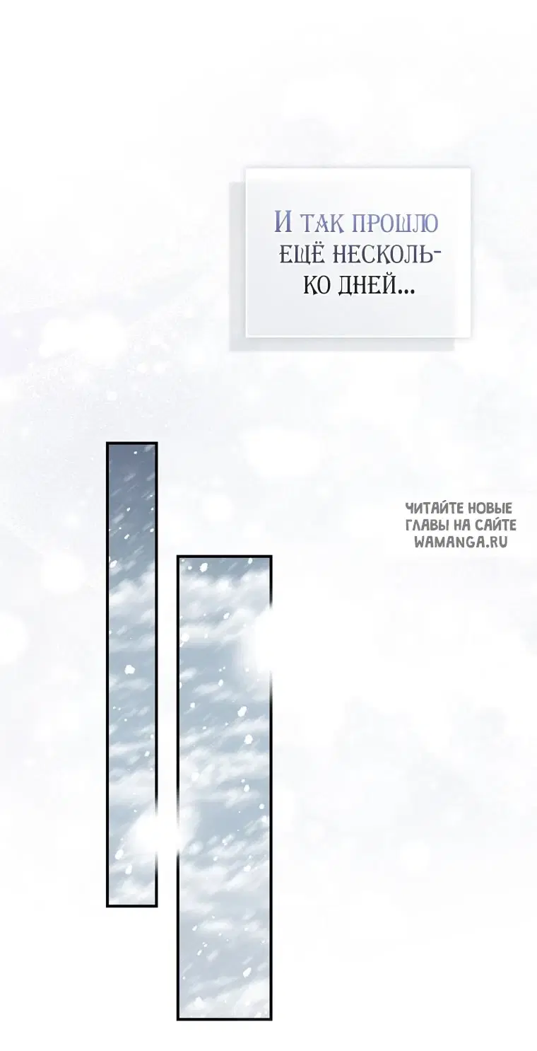 Page 40.000