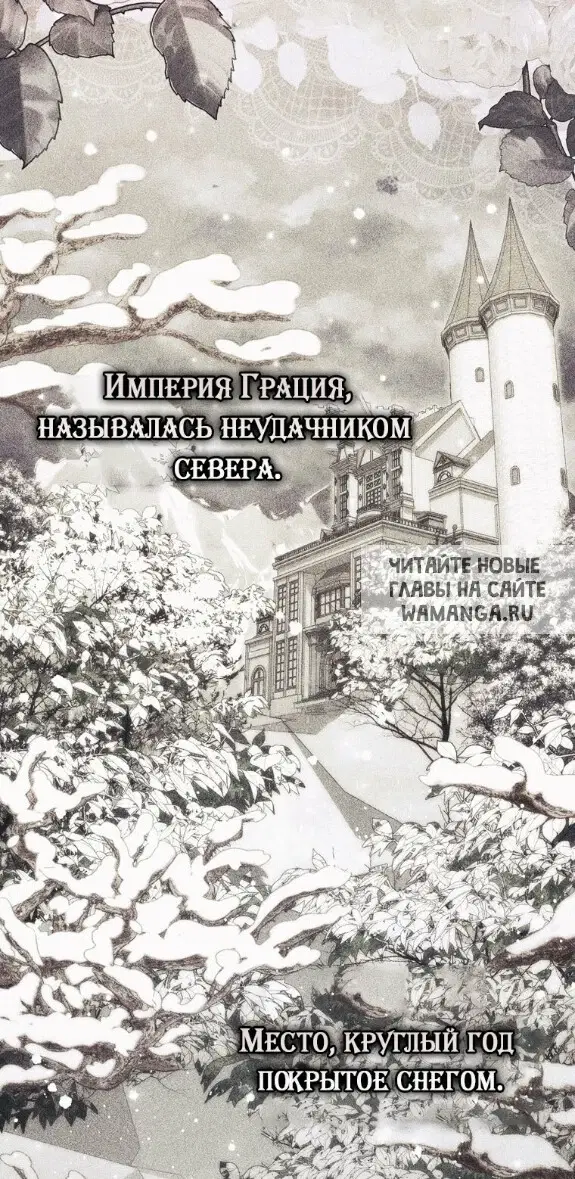 Page 41.000