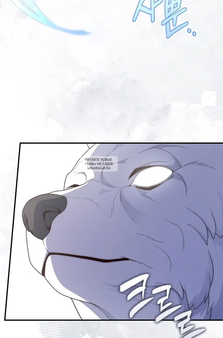 Page 55.000