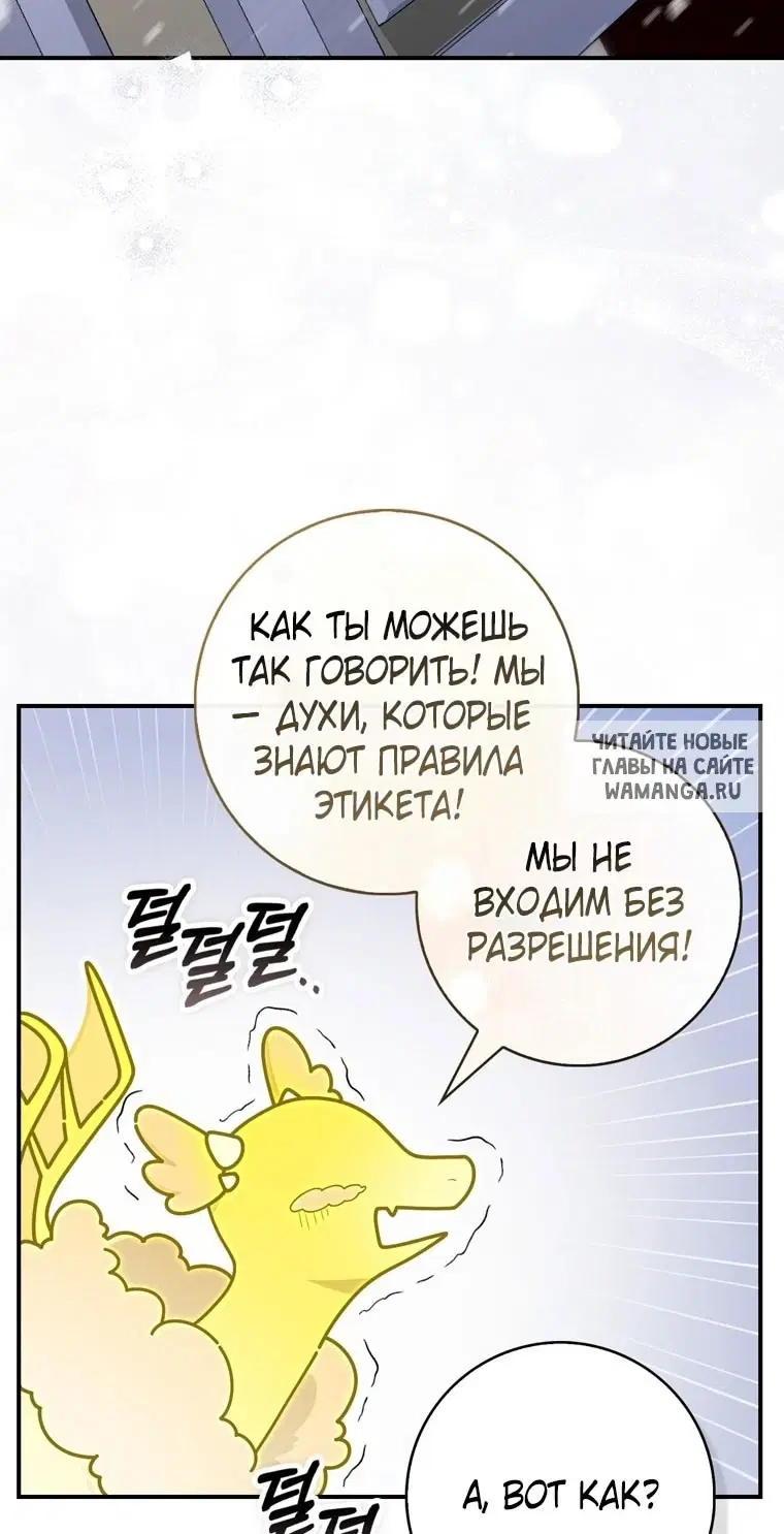 Page 51.000