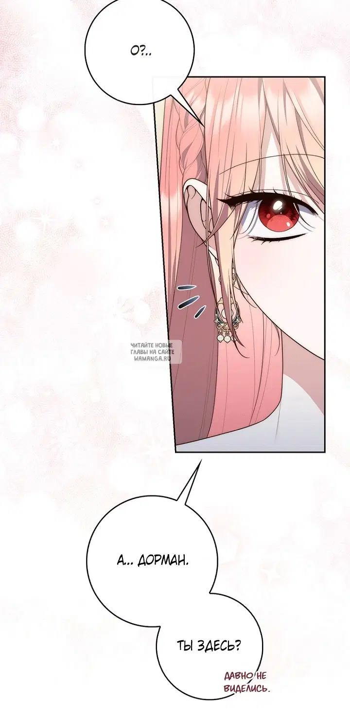 Page 51.000